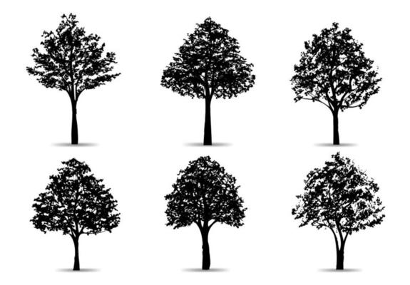 Set of tree silhouettes isolated on white background for landscape design and architectural compositions with backgrounds. Vector.