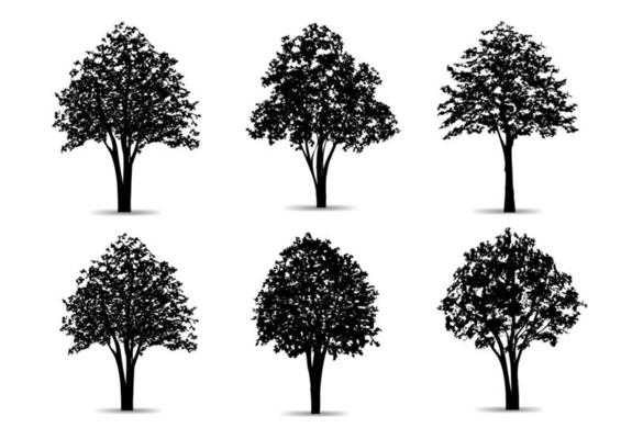 Set of tree silhouettes isolated on white background for landscape design and architectural compositions with backgrounds. Vector.