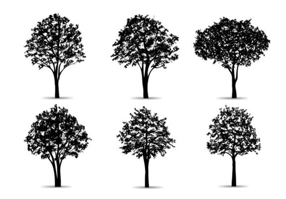 Set of tree silhouettes isolated on white background for landscape design and architectural compositions with backgrounds. Vector.