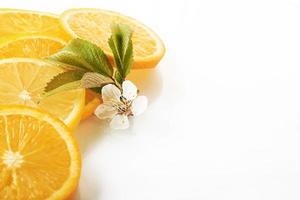 slices of orange and lemon isolated on a white background photo