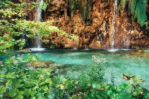 A photo of fishes swimming in a lake, taken in the national park Plitvice Croatia.