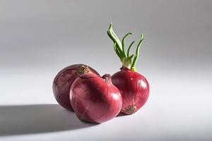 Red onion whole, isolated on white background photo