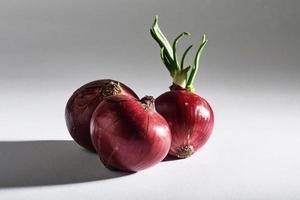 cebolla roja entera, aislada de fondo blanco foto