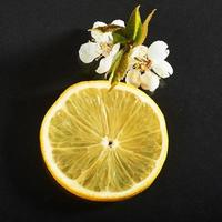 rodajas frescas y jugosas de limón sobre un fondo negro foto