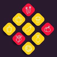 Vegetables icons set, courgette, carrot, broccoli, pumpkin, cabbage, beet, tomato, onion linear pictograms vector