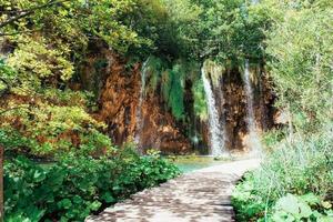 A photo of fishes swimming in a lake, taken in the national park Plitvice Croatia.