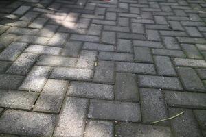 paving brick road under a shady tree photo
