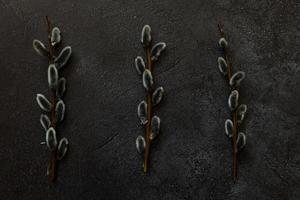 Happy Easter concept. Preparation for holiday. Pussy willow flowers branches on trendy grunge scratched dark black stone shale background. Simple minimalism flat lay top view, copy space photo
