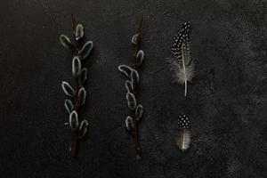 Happy Easter concept. Preparation for holiday. Pussy willow flowers branches feather on trendy grunge scratched dark black stone shale background. Simple minimalism flat lay top view copy space photo