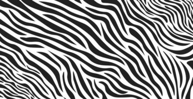 Wavy black and white zebra fur texture - Vector