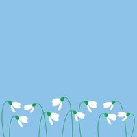 Blue background with white snowdrops, flat vector, spring background, spring is coming vector