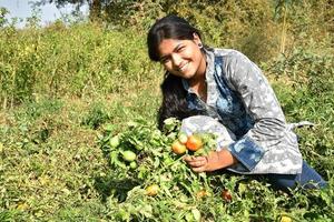 Happy young woman picking or examine fresh tomatoes in organic farm or field photo