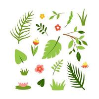 conjunto de flores y hojas de plantas y árboles exóticos. colección de vectores de flora tropical dibujada a mano en estilo de dibujos animados y aislada en fondo blanco