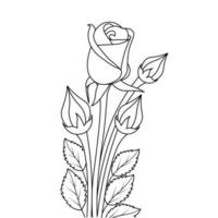 rose flower easy coloring page vector