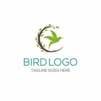 logotipo de pájaro con una rama de árbol circular y hojas pequeñas vector