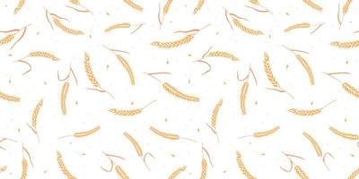 Seamless pattern with whole grain seeds organic, natural ears isolated on white background. vector