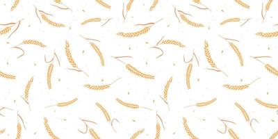 Seamless pattern with whole grain seeds organic, natural ears isolated on white background. vector