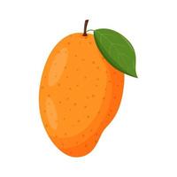 Whole mango with green leaf isolated on white background. Flat vector illustration