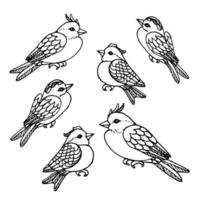 Bird set doodle scetch collection vector