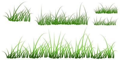 vector grass set background isolated