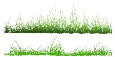 vector grass set background isolated