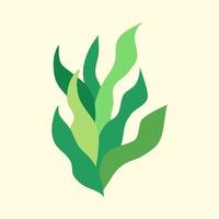 Green decorative plant vector