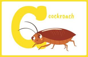 Flash Card Alphabet Insect C vector