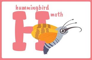 Flash Card Alphabet Insect H vector