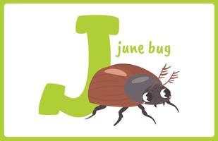Flash Card Alphabet Insect J vector