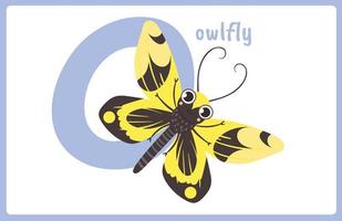 Flash Card Alphabet Insect O vector