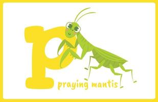 Flash Card Alphabet Insect P vector