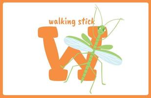 Flash Card Alphabet Insect W vector