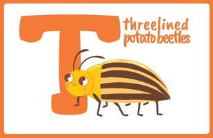 Flash Card Alphabet Insect T vector