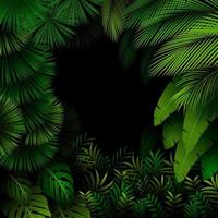 Exotic pattern with tropical leaves on a black background vector