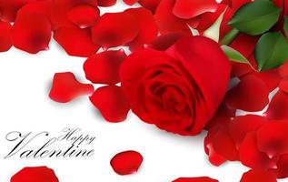 Red roses and rose petals on white background vector