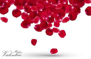 Valentines day with rose petals on white background.vector vector