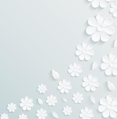 Flowers pattern daisy with leaves on gray background. vector