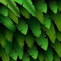 Exotic pattern with tropical leaves banana on a black background.vector vector