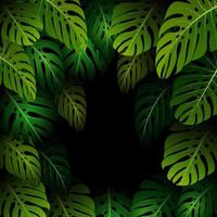 Exotic pattern with tropical leaves background.vector vector