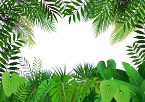 selva en blanco background.vector vector