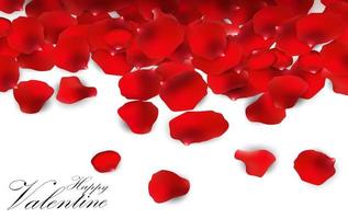 Red rose petals on a white background vector