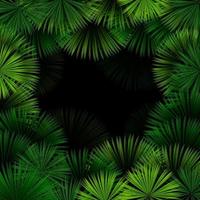 Exotic pattern with tropical leaves on a black background.vector vector