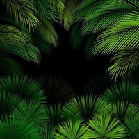 Exotic pattern with tropical leaves on dark background.vector vector