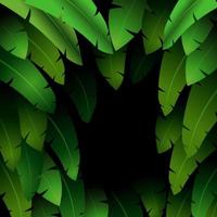 Exotic pattern with tropical leaves banana on a black background.vector vector