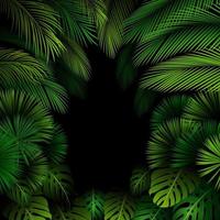patrón exótico con hojas tropicales sobre un fondo negro.vector vector