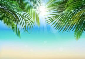 Palm leaf background on blue sky and sunbeams.Summer holidays vector