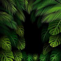 Exotic pattern with tropical leaves on a black background.vector vector