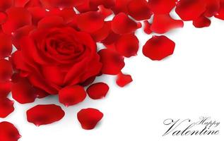 Red roses and rose petals on white background vector