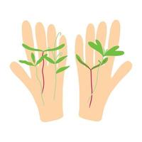 In the hands of sprouts. Microgreens in hand. Vector illustration isolated on white background.