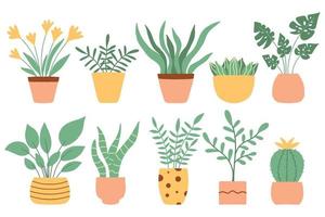 A set of trendy potted plants for the home. Various houseplants isolated on white background. Vector illustration in flat style.